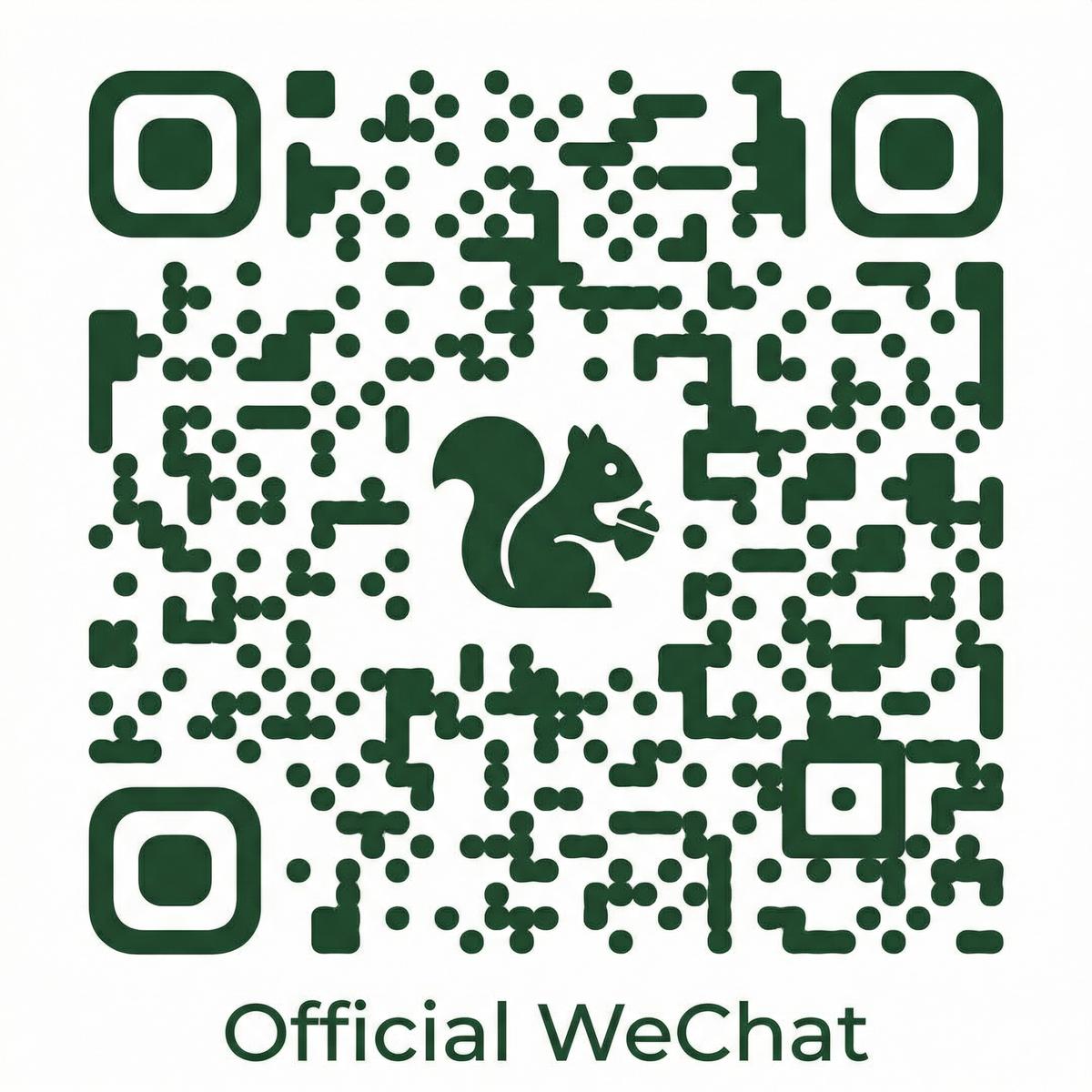 黑丝公众号二维码